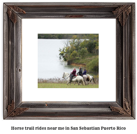 horse trail rides near me in San Sebastin, Puerto Rico